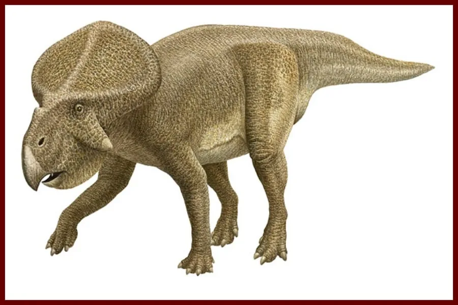 Protoceratops 1923