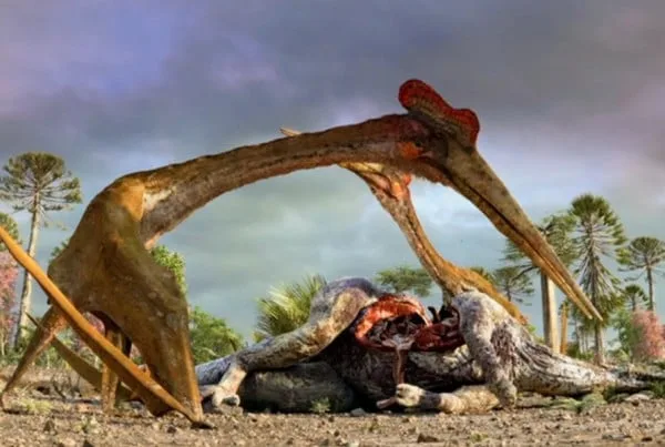 Quetzalcoatlus 01