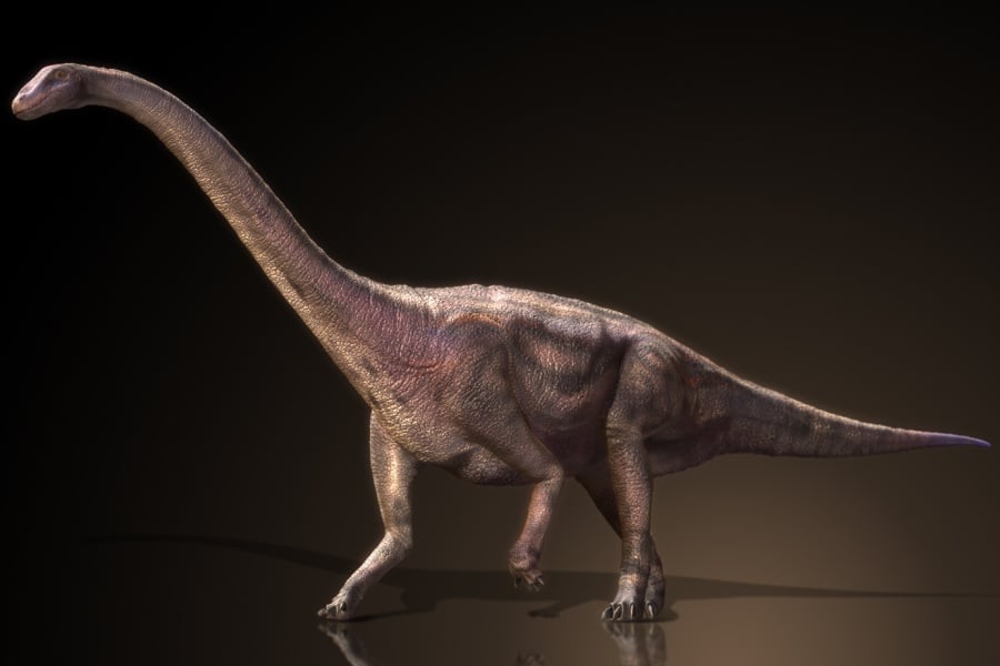 Riojasaurus 01