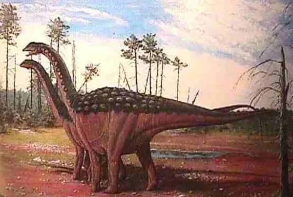 Saltasaurus 01