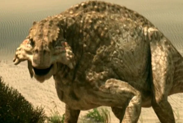 Scutosaurus 01