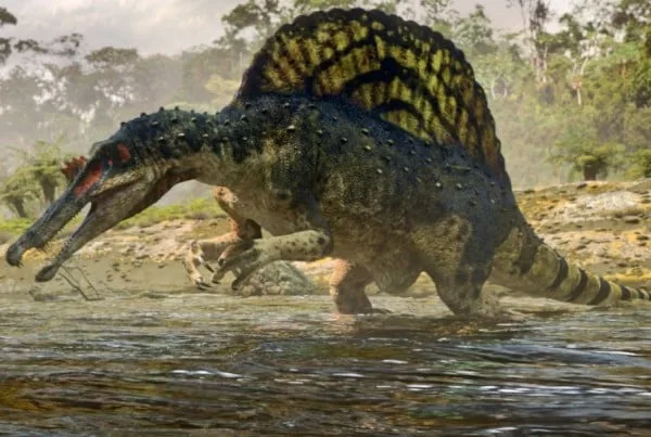 Spinosaurus 01