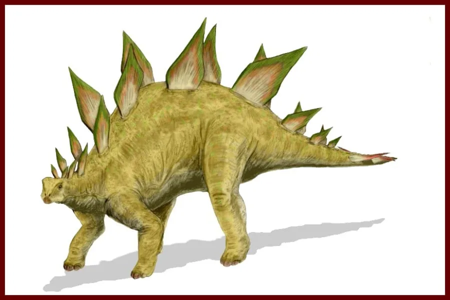 Stegosaurus 1877