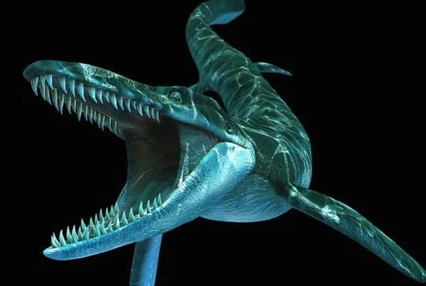 Tylosaurus 01
