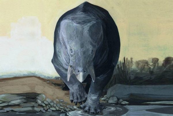 La Hormiga Dinosaurio | Amigos de los Dinosaurios y la Paleontología