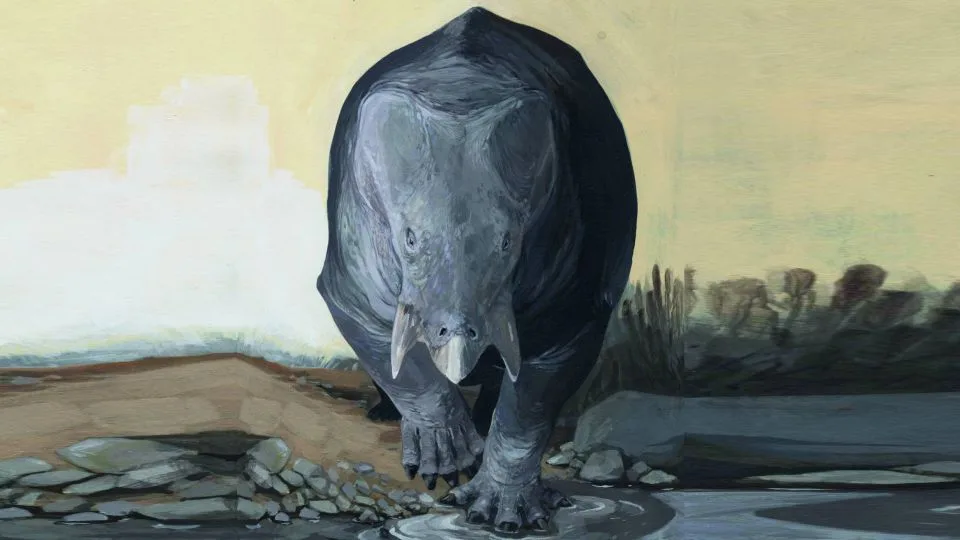 Un Mamífero Gigante 01